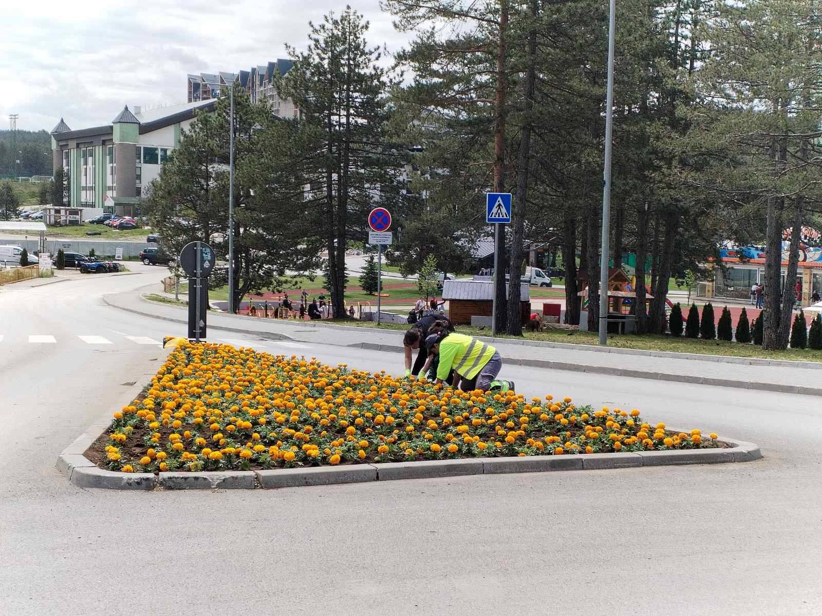 ПОЧЕЛА САДЊА СЕЗОНСКОГ ЦВЕЋА