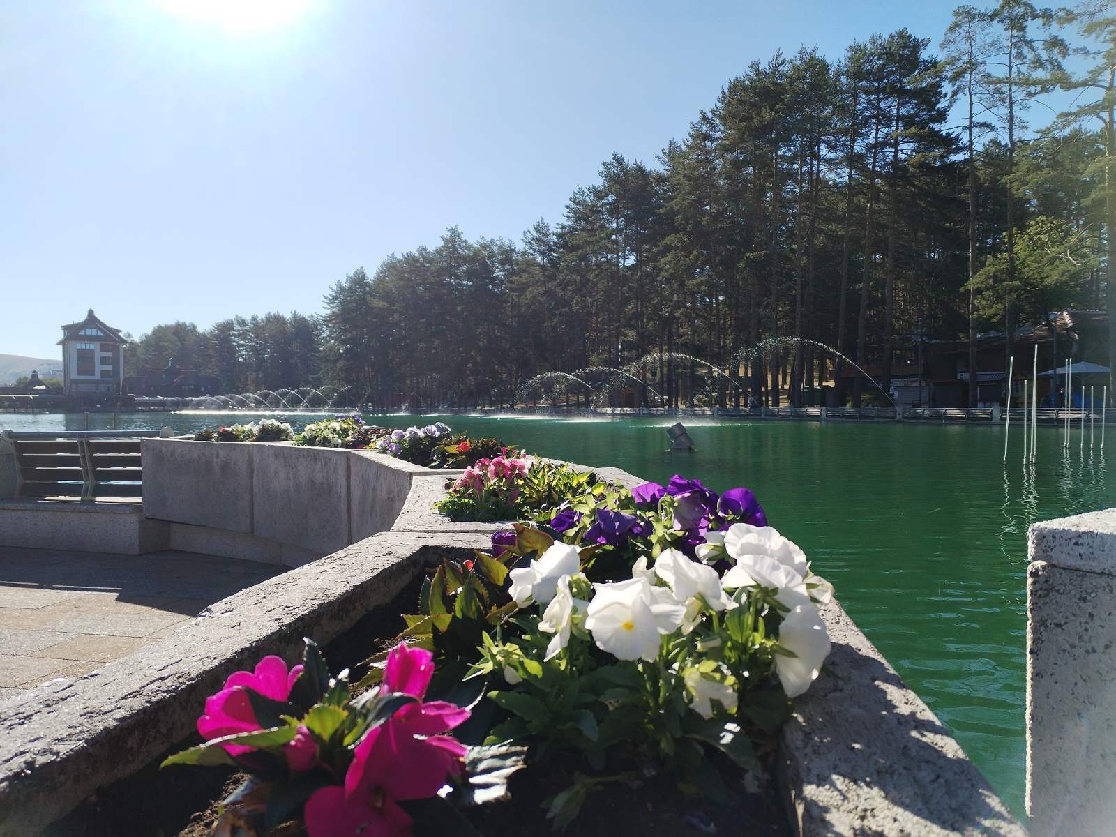 Ukrasne žardinjere sa mešovitim zasadima 1