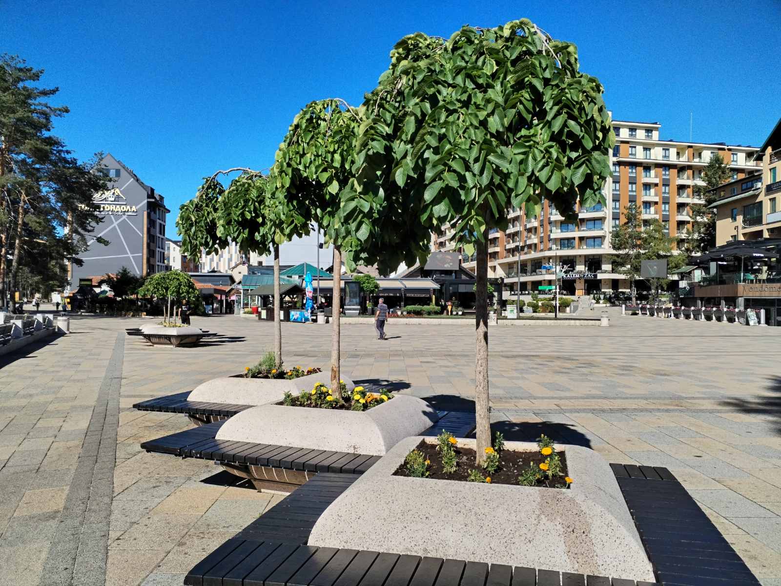 Ukrasne žardinjere sa mešovitim zasadima